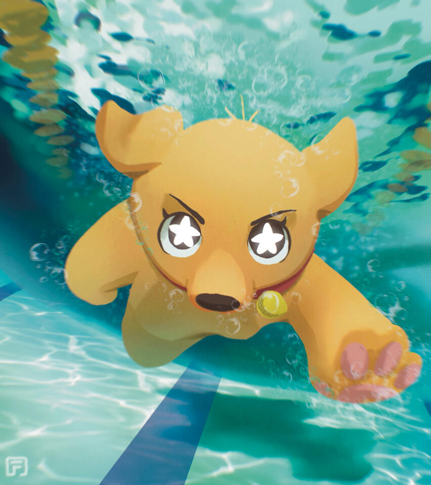 Book Cover For a Private Customer #2