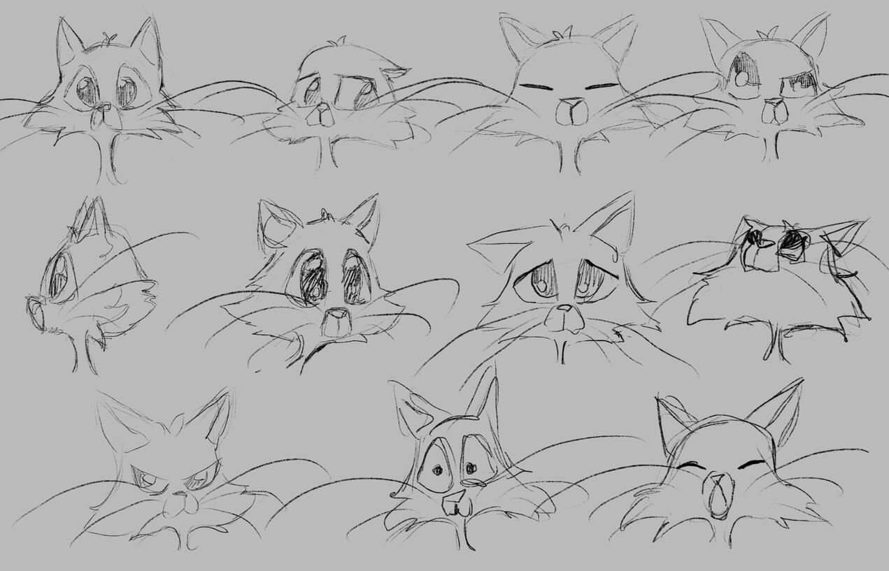 Birthday Gift For a Private Customer